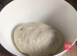 马齿苋韭菜馅饺子的做法图解2