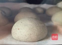 豹纹饼干的做法图解10