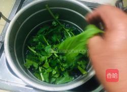 清炒萝卜缨的做法图解1