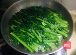 清炒萝卜缨的做法图解2