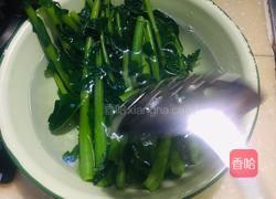 清炒萝卜缨的做法图解3