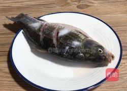 豆瓣鲫鱼的做法图解1