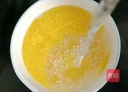 小米鸡肉蔬菜粥的做法图解6