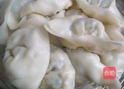 荠菜鸡蛋水饺的做法图解16