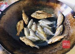 鲫鱼汤的做法图解2