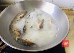 鲫鱼汤的做法图解4