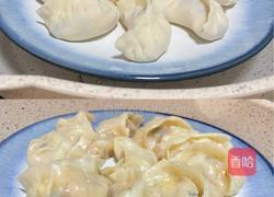 鸡胸肉饺子的做法图解9