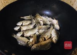 野生鲫鱼冬瓜汤的做法图解3