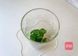 仲夏莫吉托的做法图解3