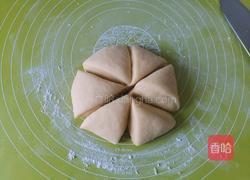 椰蓉面包的做法图解5