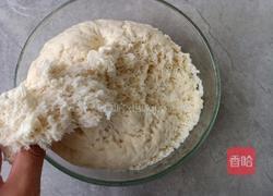 自制豆沙包的做法图解6