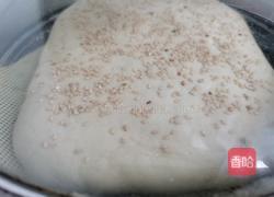 蒸千层豆渣饼的做法图解13