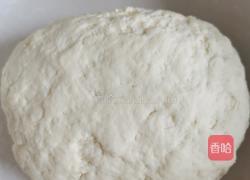 猪肉南瓜煎饺的做法图解4