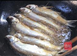 干煸刁子鱼的做法图解4