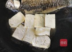 营养奶白鲫鱼豆腐汤的做法图解5