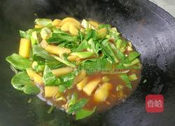 土豆炖小白菜的做法图解8