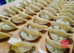 虾肉饺子的做法图解9