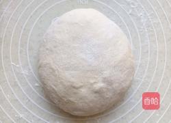 葡萄干吐司（一次发酵）的做法图解5