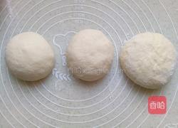 葡萄干吐司（一次发酵）的做法图解6