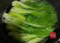 蒜蓉上海青的做法图解4