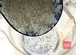 虾仁大米粥的做法图解3