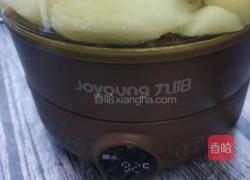 冰糖雪梨的做法图解8
