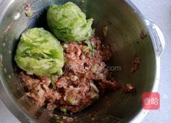 青萝卜肉丸的做法图解6