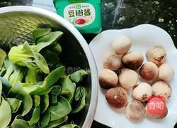 花开富贵之酱香草菇的做法图解1