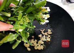 黄豆酱炒芥兰苗的做法图解3