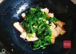 菠菜豆腐（奥莱奥特级初榨橄榄油）的做法图解11