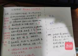 土豆红烧鸡翅的做法图解7