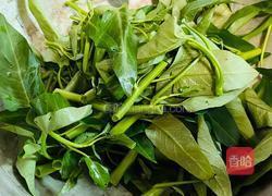 炒空心菜的做法图解2