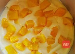 马斯卡彭牛乳芒果慕斯的做法图解13