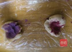 昙花酥（渐变色）的做法图解4