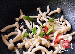 白玉菇炒鸡蛋的做法图解10