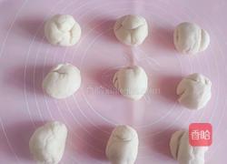 帕恰狗奶黄包的做法图解3