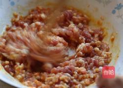 加拿大北极虾鲜肉云吞的做法图解3