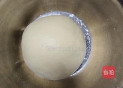 北海道巨蛋吐司（百分百中种)的做法图解8