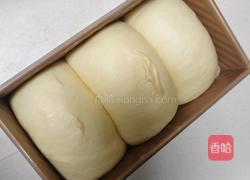 北海道巨蛋吐司（百分百中种)的做法图解16