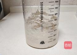 蜂蜜脆皮小面包（28方盘波兰种）的做法图解2