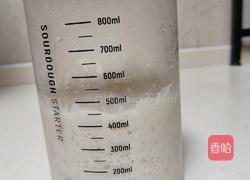蜂蜜脆皮小面包（28方盘波兰种）的做法图解4