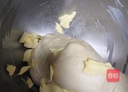 蜂蜜脆皮小面包（28方盘波兰种）的做法图解6