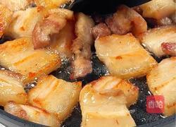 可乐卤肉饭的做法图解1