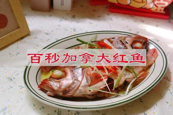 百秒加拿大红鱼