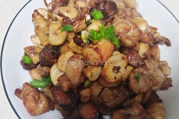 口蘑炒鸡腿肉