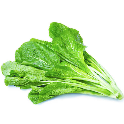 荠菜[图]